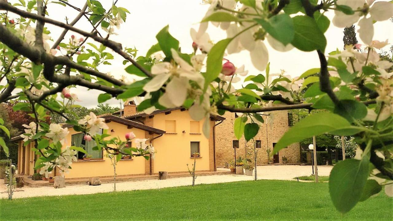 Agriturismo Il Podere Hotel Petrignano Buitenkant foto