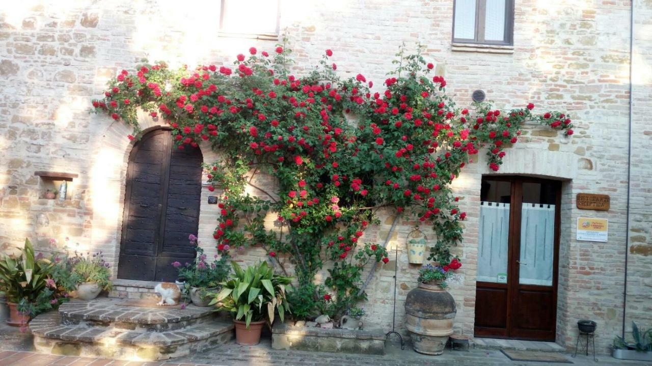 Agriturismo Il Podere Hotel Petrignano Buitenkant foto